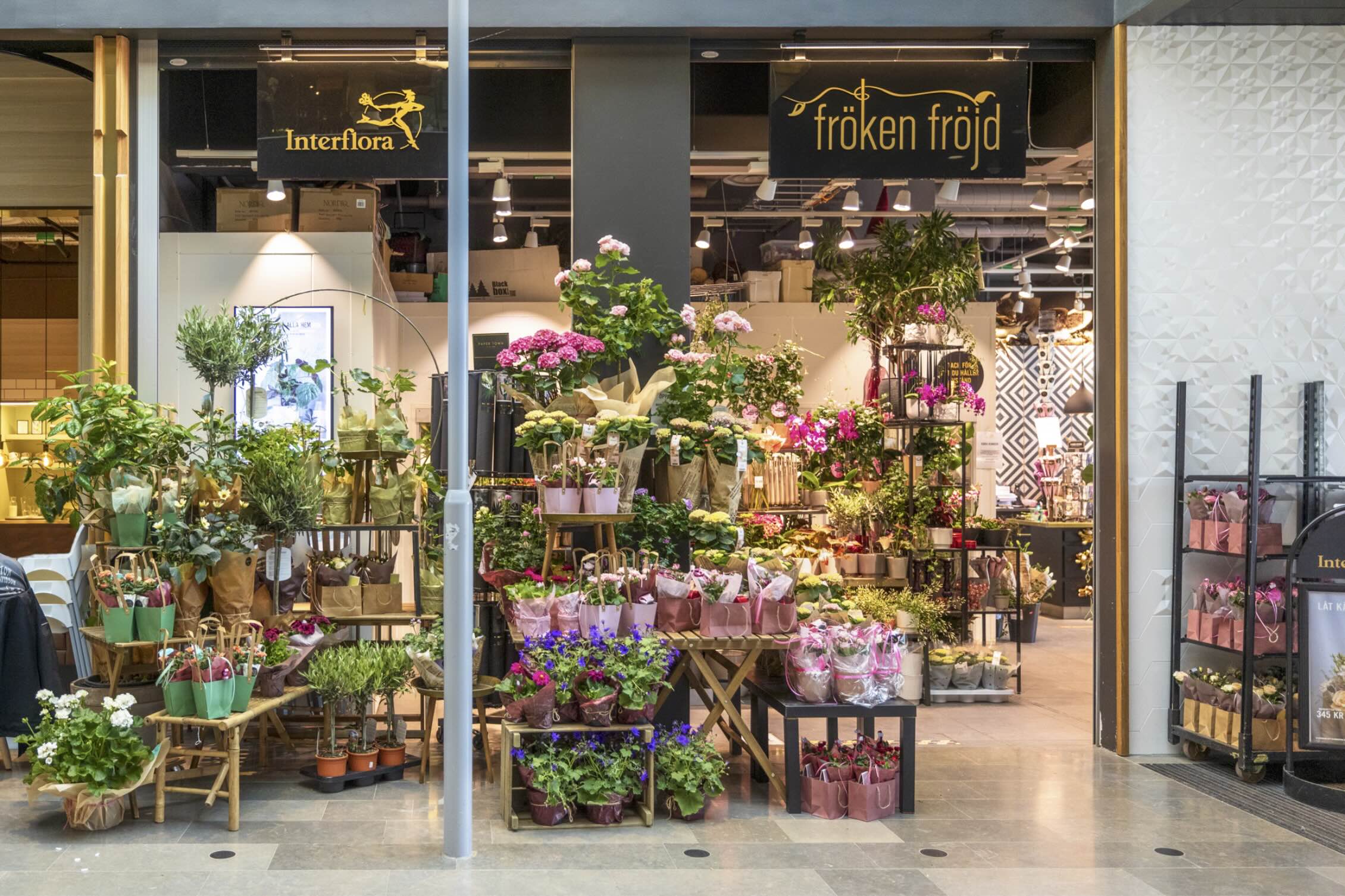 Blomsterbutiken fylls av färgglada buketter och krukväxter som står utställda på bord och hyllor. Ovanför ingången syns skyltarna Interflora och fröken fröjd.