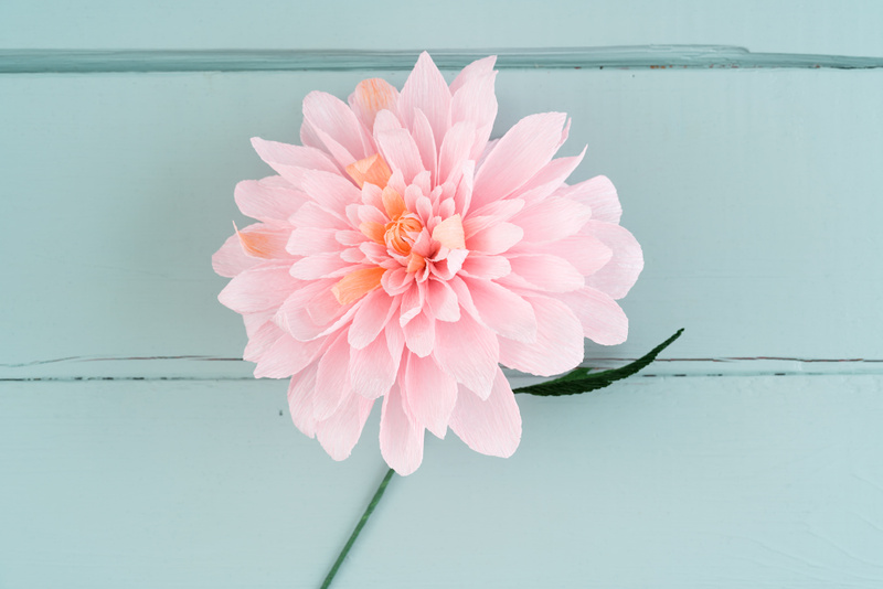 Pappersblomma - event I Food Hall
